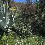 Casa-finca El Maipez De Tejeda
