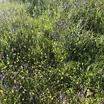 Σπίτι διακοπών Casa-finca El Maipez De Tejeda Λας Πάλμας ντε Γκραν Κανάρια
