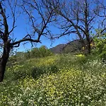 Casa-finca El Maipez De Tejeda *