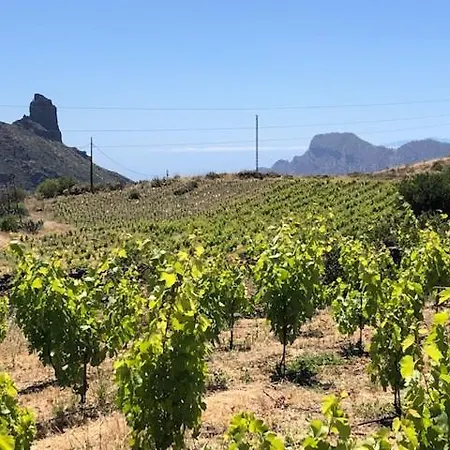 Casa-finca El Maipez De Tejeda Prázdninový dům *