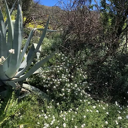 Casa-finca El Maipez De Tejeda