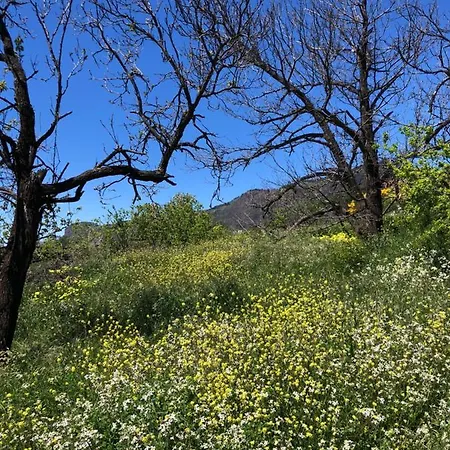 Casa-finca El Maipez De Tejeda *