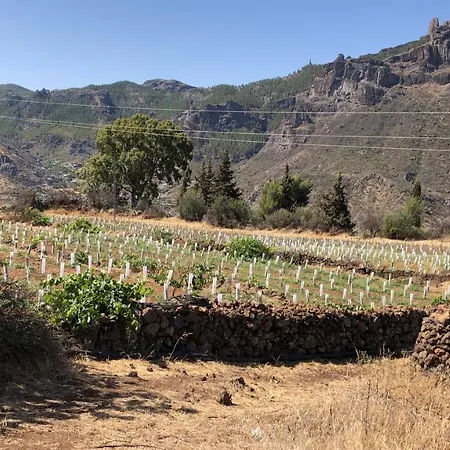 Casa-finca El Maipez De Tejeda * Las Palmas de Gran Canárias